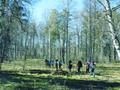 Туристская прогулка по лесу, посещение водопада Подмосковья.